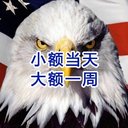 巴马要账公司